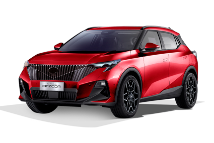 EMZOOM - GAC Gruver in Veracruz Veracruz de Ignacio de la Llave