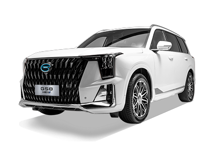 GS8 HEV - GAC Gruver in Veracruz Veracruz de Ignacio de la Llave