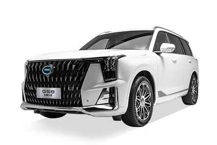  GS8 HEV - GAC Gruver in Veracruz Veracruz de Ignacio de la Llave